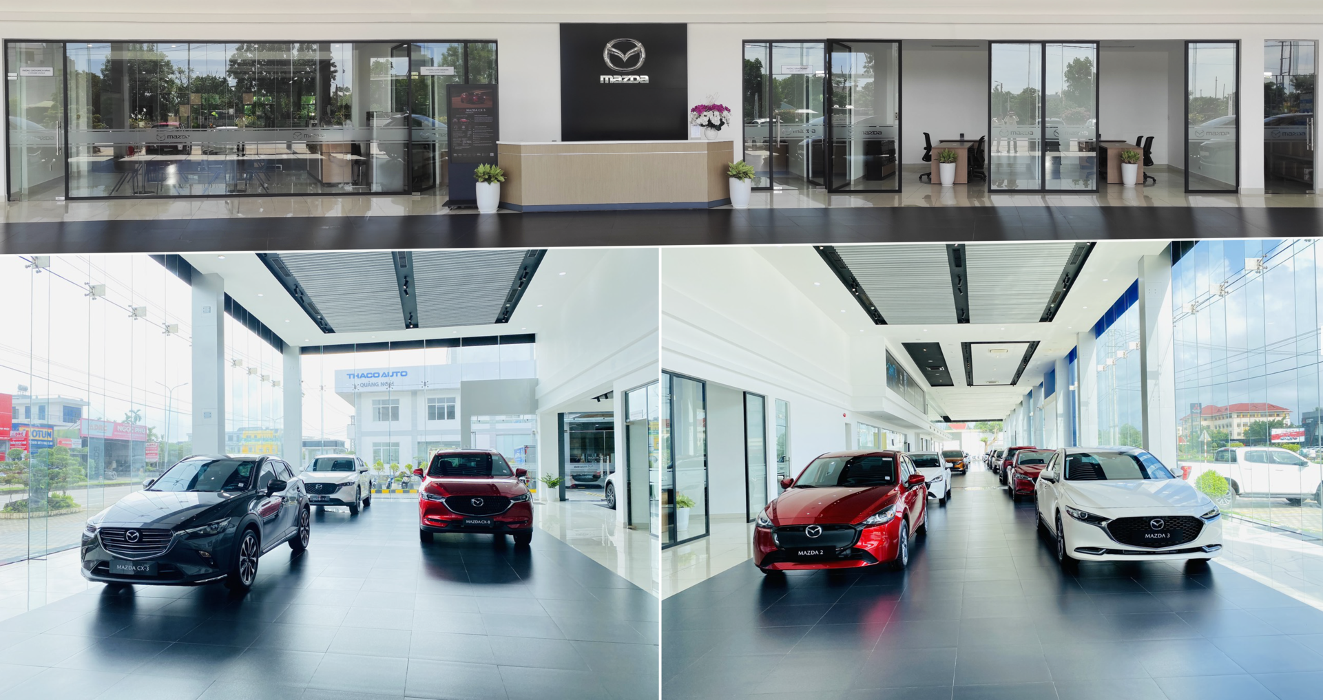 mazda-13.png