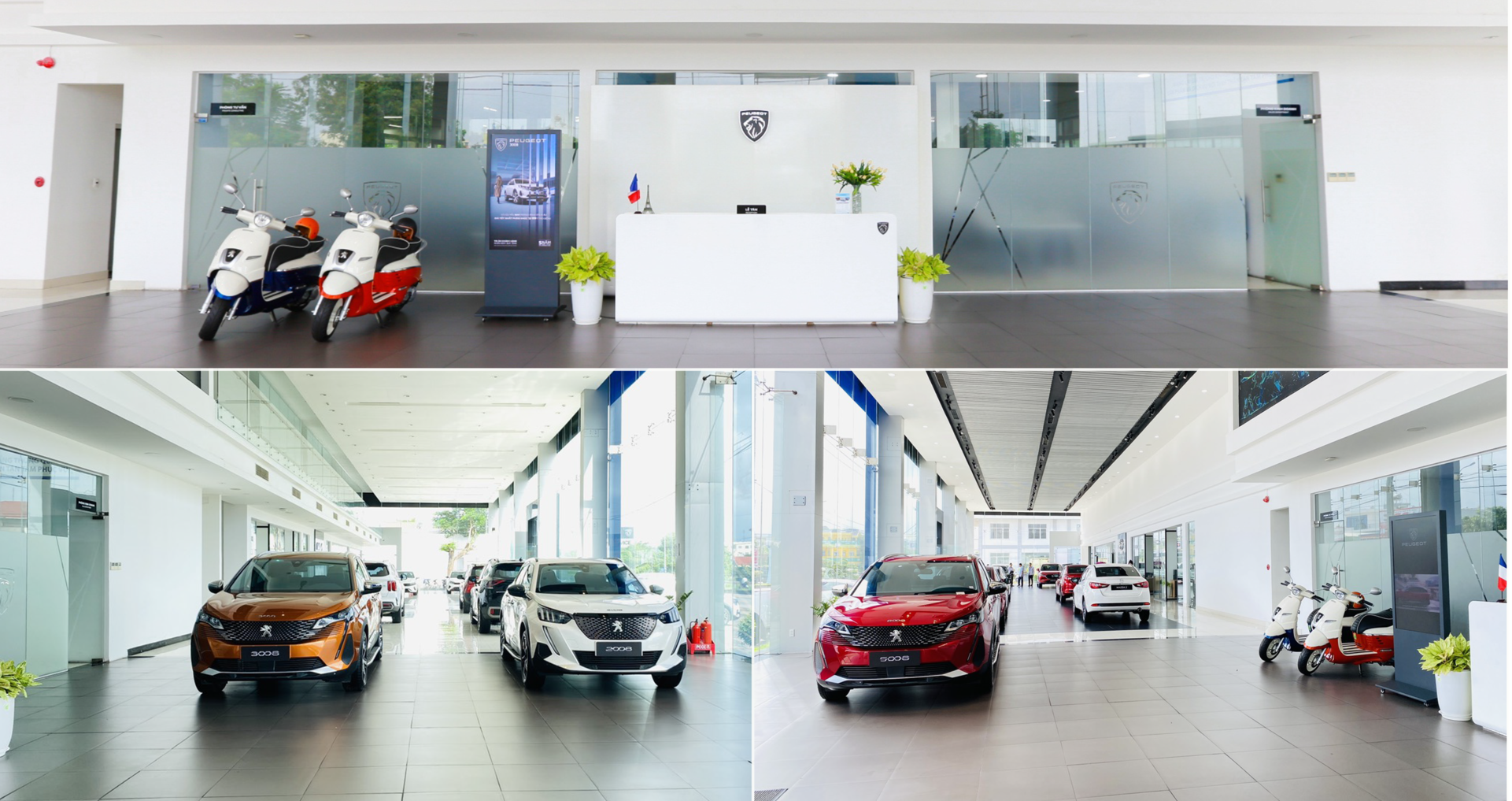 peugeot1-1.png